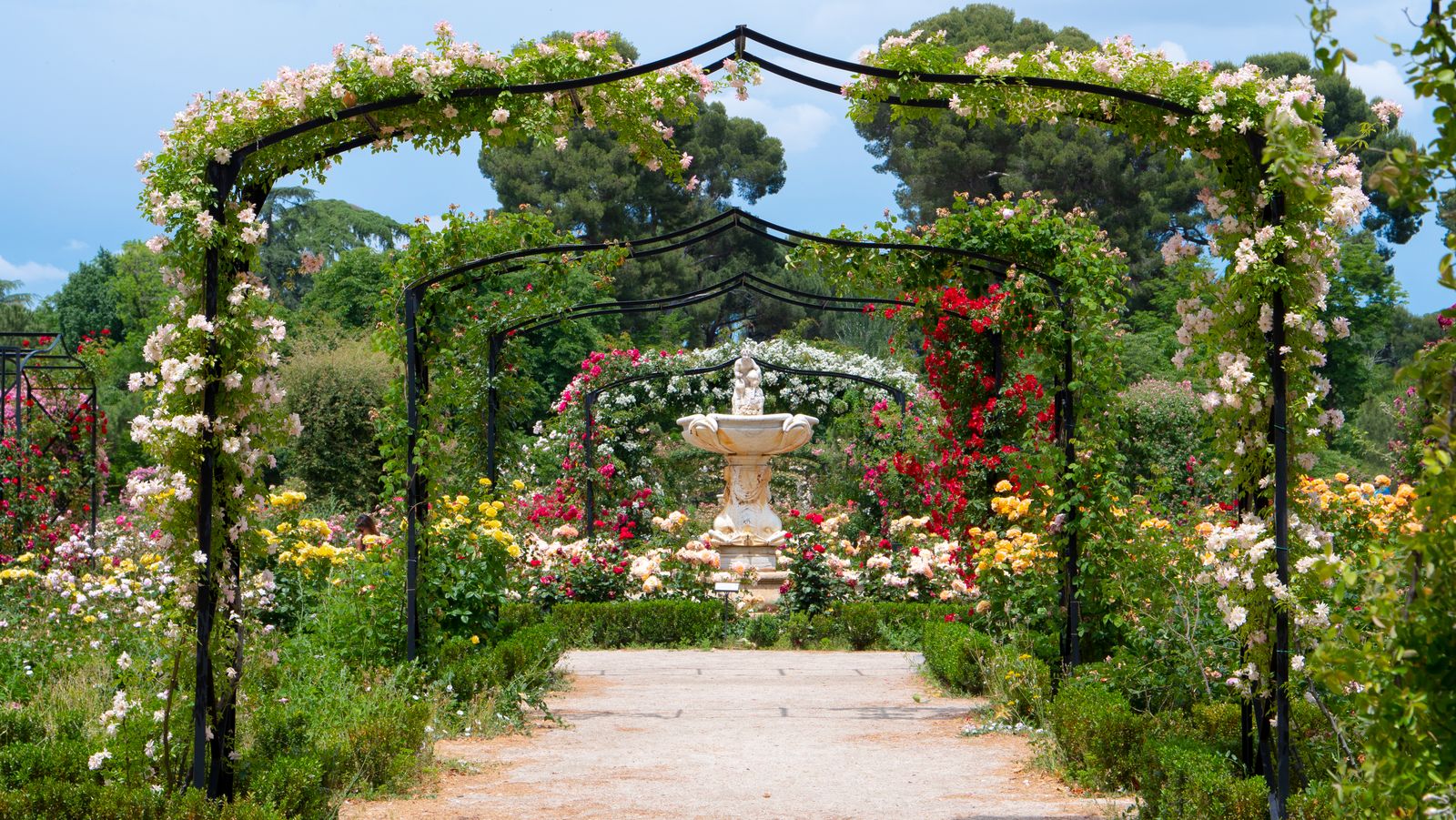 Image may contain Garden Nature Outdoors Arbour Grass Park Plant Architecture Building House Housing and Porch