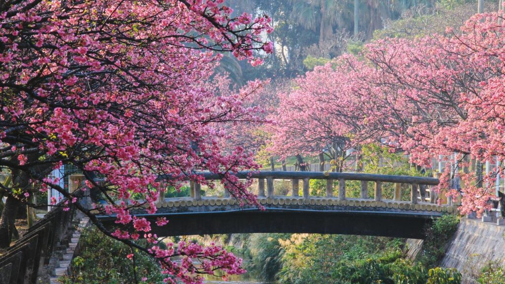 The Best Things to Do in Japan All Year-Round