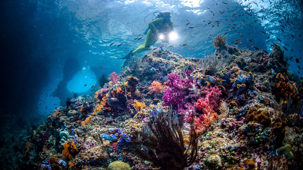 41 Best Snorkeling Destinations in the World for Beginners, Experts, and Everyone in Between