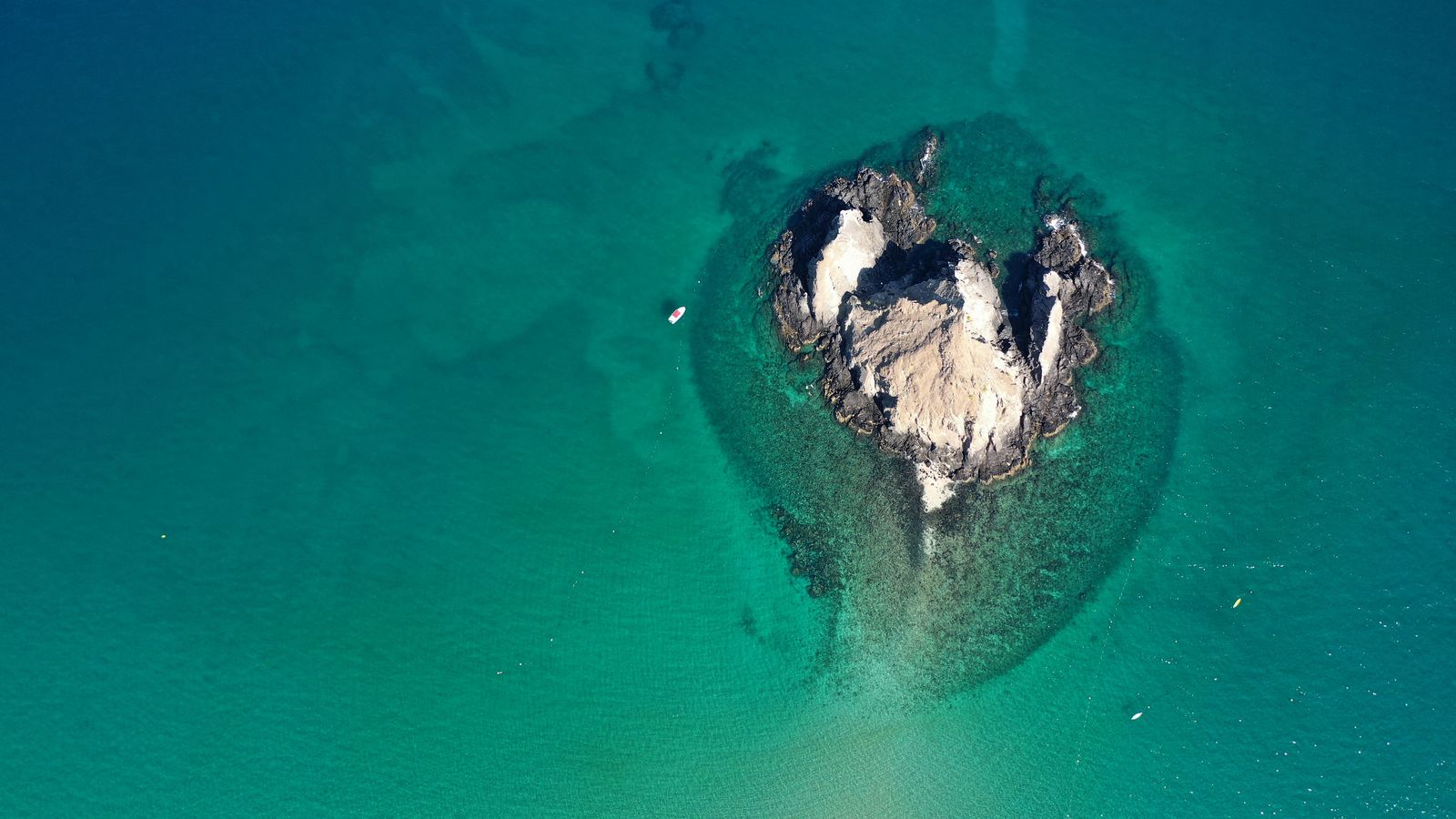 Image may contain Nature Outdoors Sea Water Land Coast Shoreline Animal Fish Sea Life and Shark