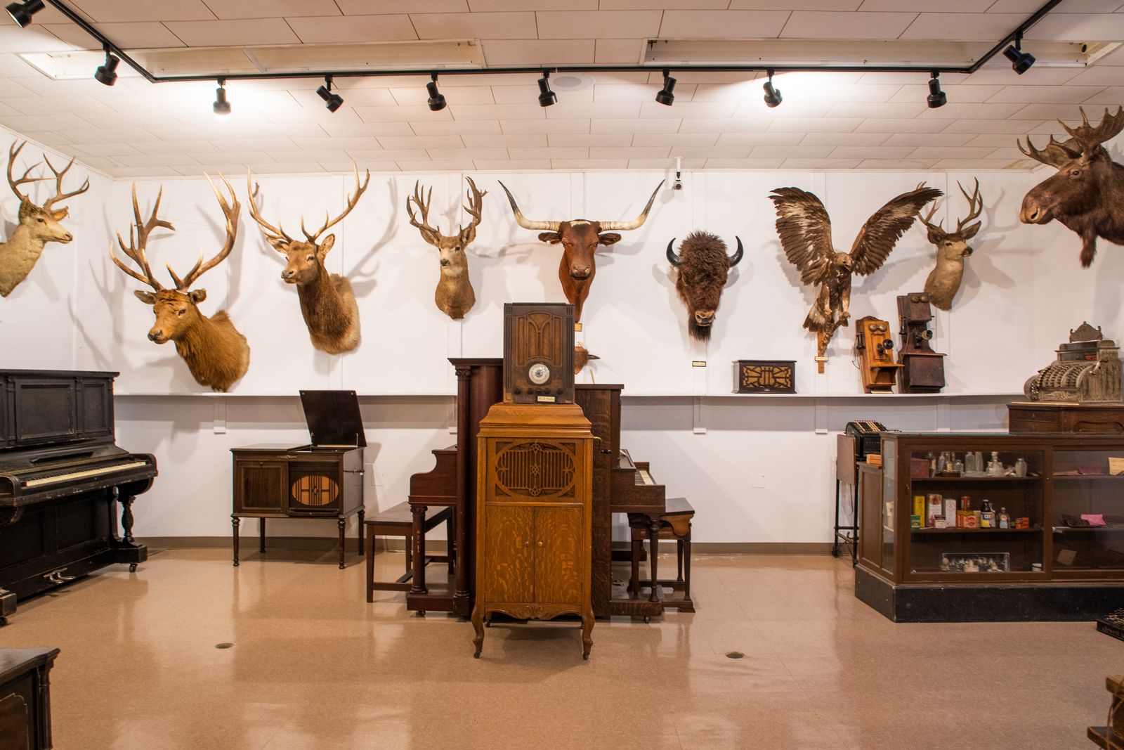 Image may contain Keyboard Musical Instrument Piano Architecture Building Indoors Museum Animal Bird and Cattle