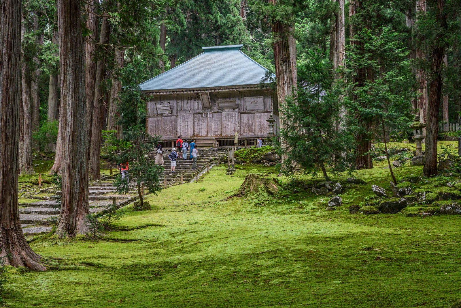 Image may contain Plant Tree Person Land Nature Outdoors Rainforest Vegetation Architecture Building and Housing