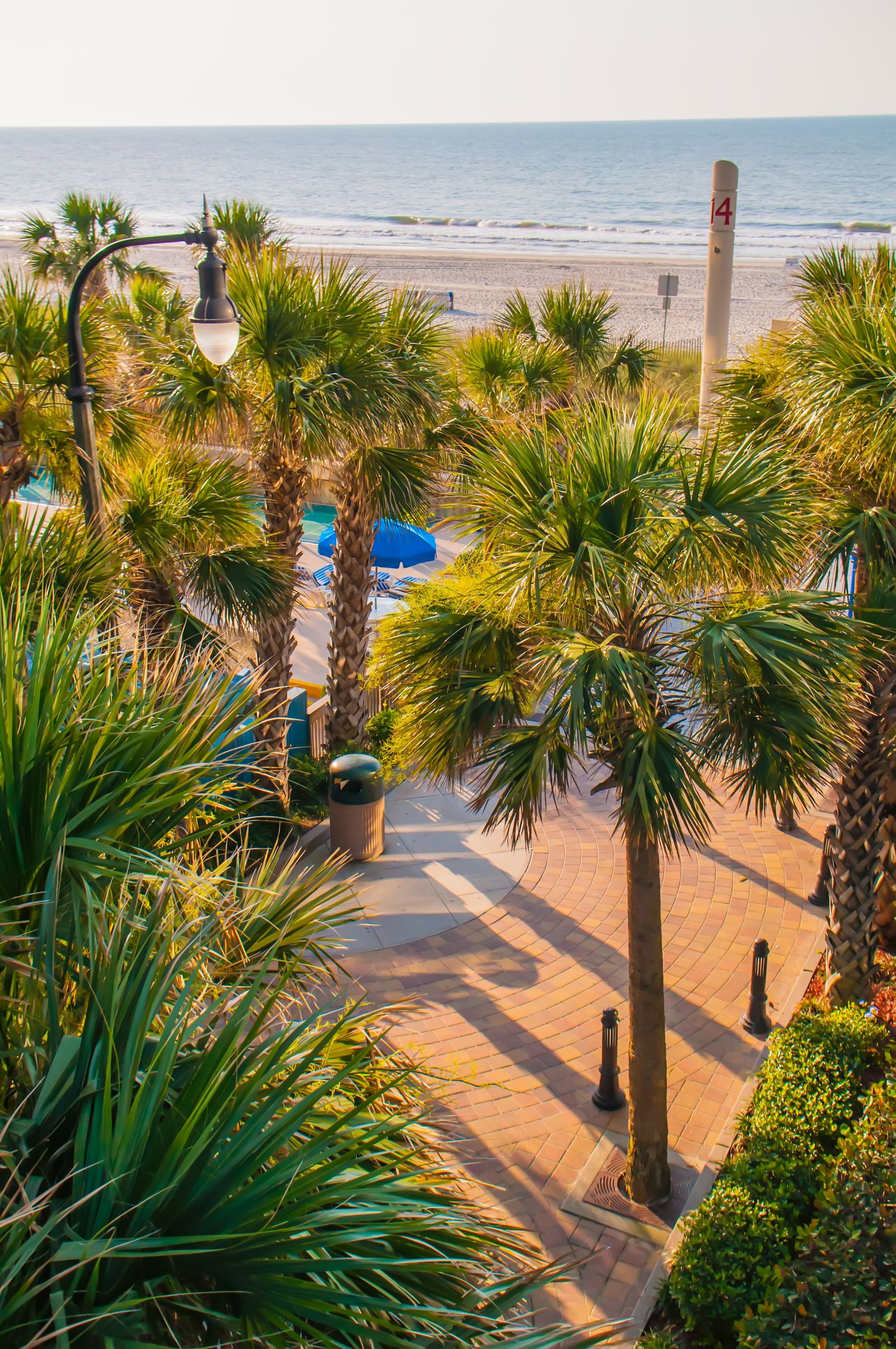 Image may contain Summer Palm Tree Plant Tree Nature Outdoors Scenery Vegetation Beach Coast Sea and Shoreline