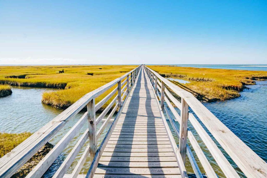 The Essential Guide to Cape Cod, Massachusetts