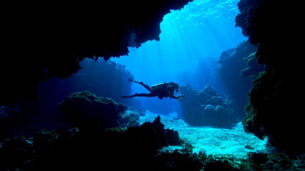 The Best Scuba Diving in the World for Rare Species, Shipwrecks, and Coral Reefs