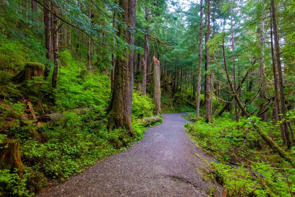 The Essential Guide to Tongass National Forest