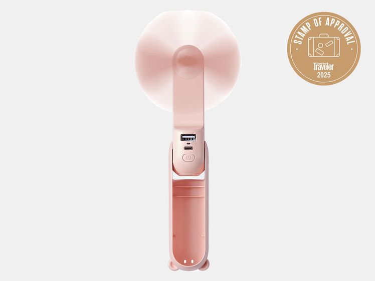 pink mini fan