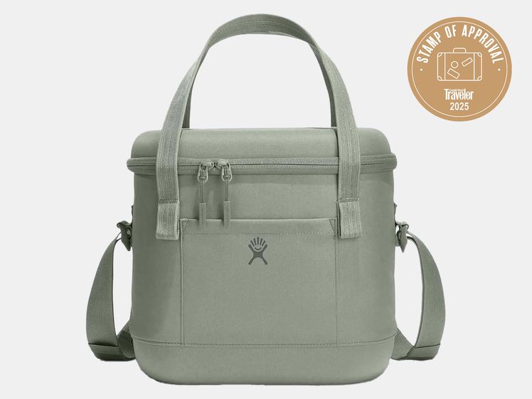 green cooler bag