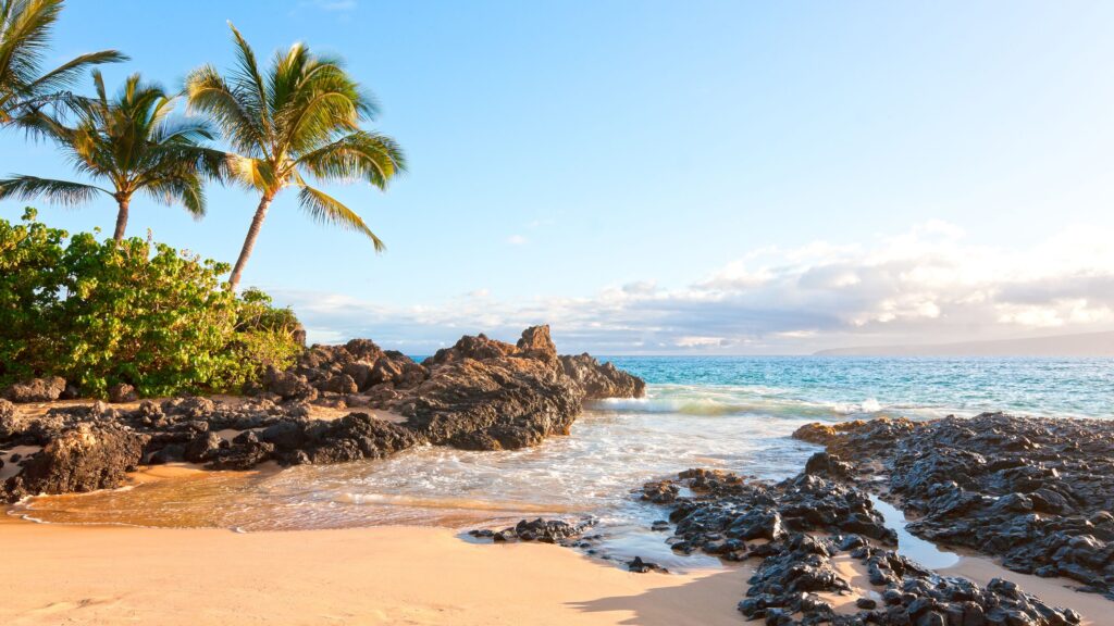 13 Best Beaches in Maui, From Quiet Coves to Surfing Strongholds