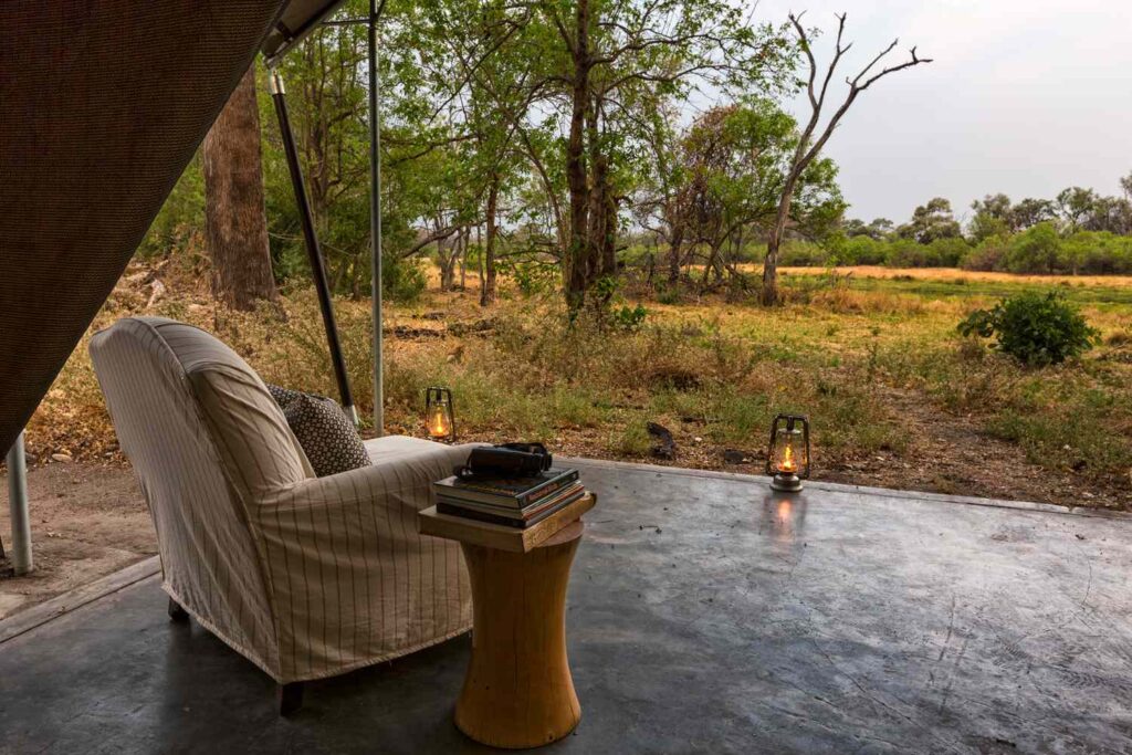 These Are the Best Times to Go on a Safari, According to a Top Travel Advisor