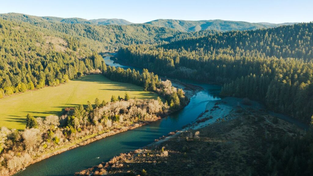 Redwood National and State Parks Guide: The Best Tree-Lined Hikes, Camping, and Cycling Routes