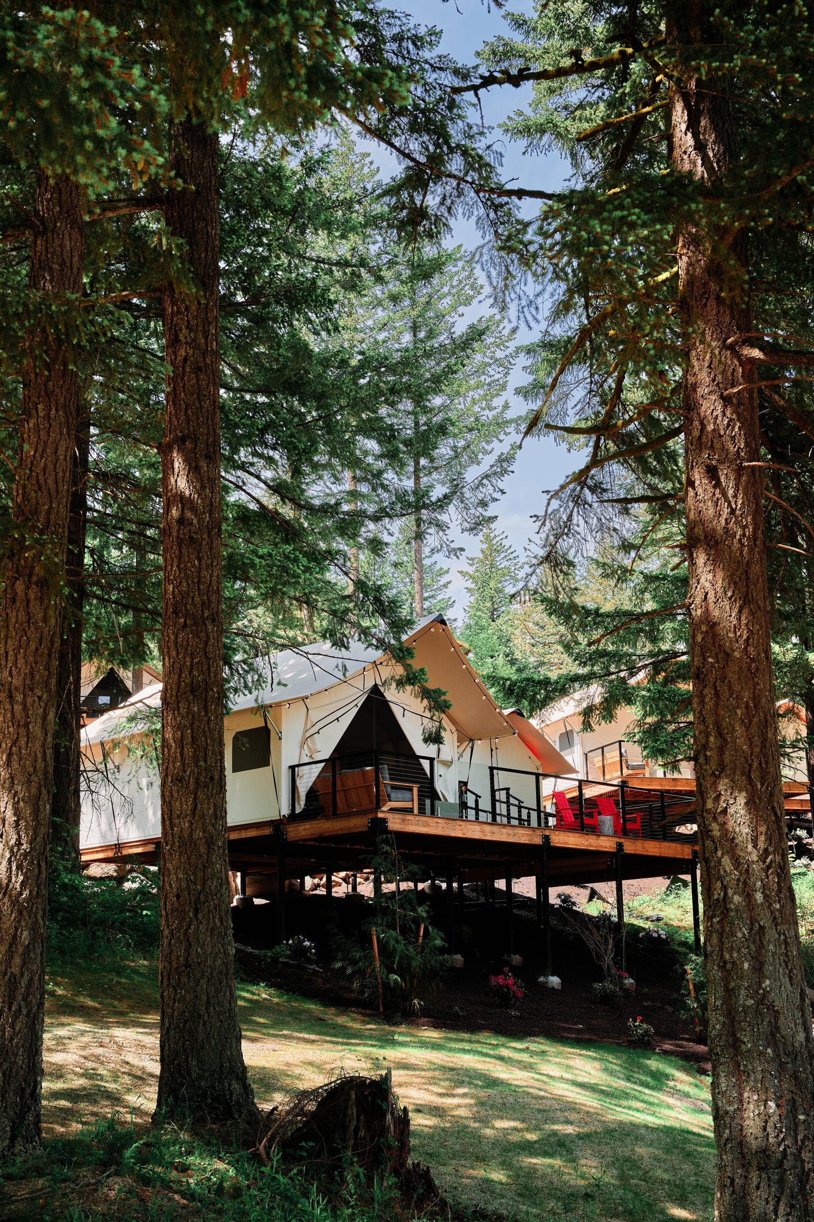 Image may contain Architecture Building Housing Plant Tree Outdoors Shelter House Grove Land and Nature