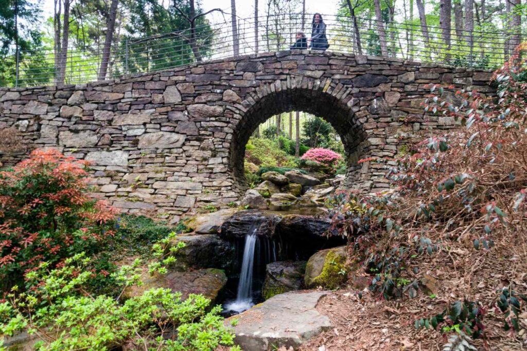 The Essential Guide to Hot Spring National Park