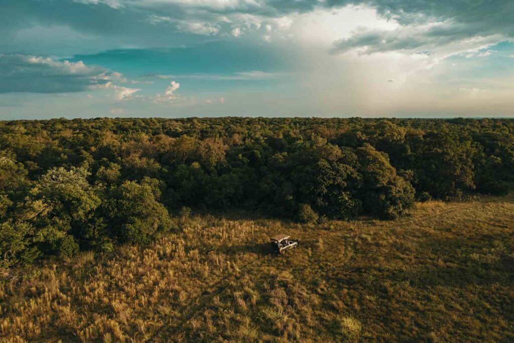 These Are the Best Places to See Wildlife in Brazil