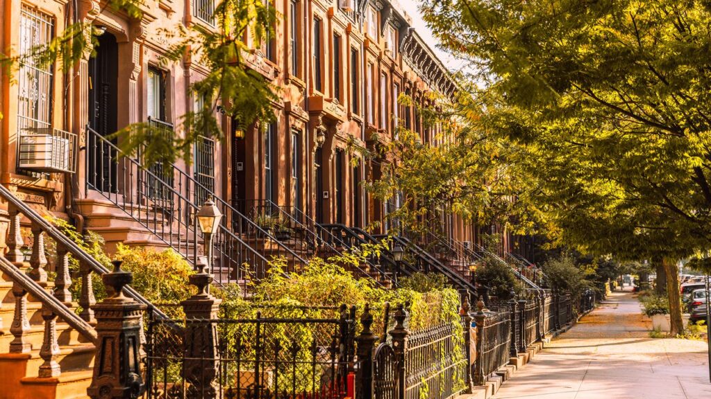 A Local's Guide to Bed-Stuy, Brooklyn