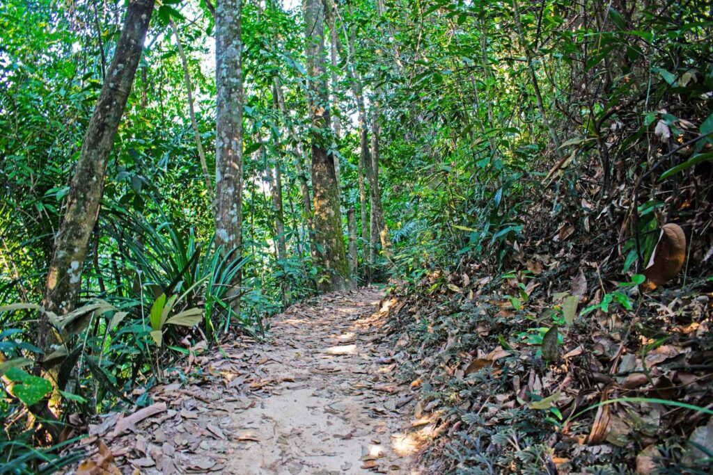 This Is the Best Hiking Trail in Southeast Asia