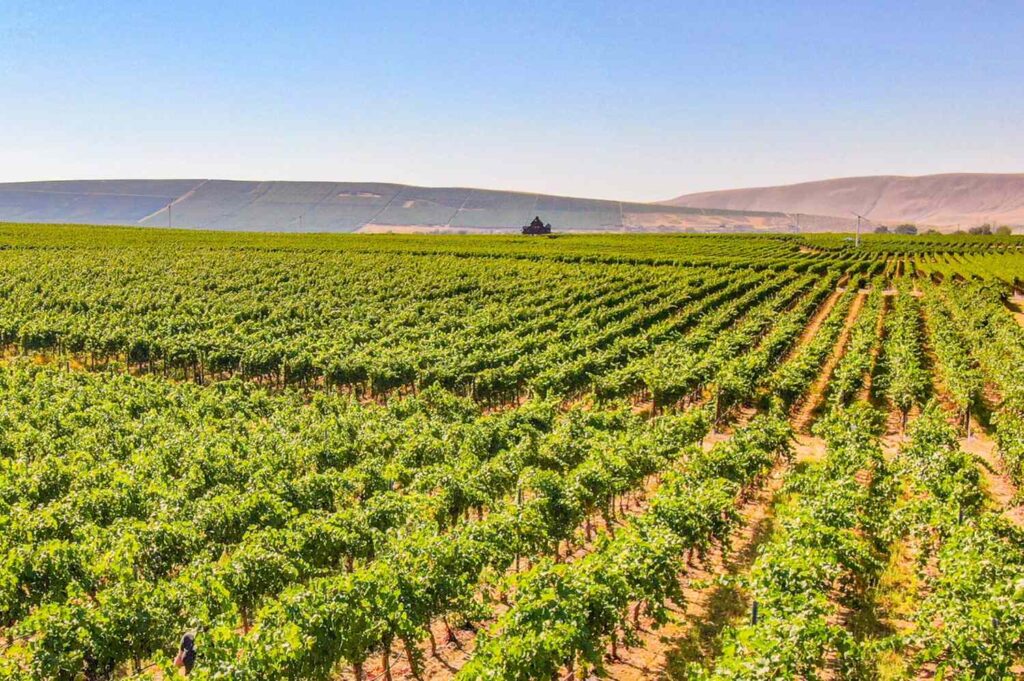 Woodinville Is the Best Wine Town in Washington
