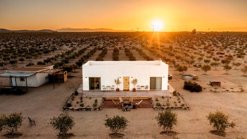 The Best Farm Stays on Airbnb, From Cattle Ranches to Olive Groves