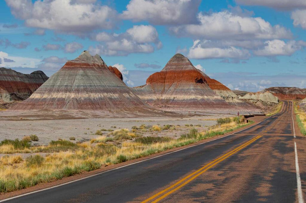 The Essential Guide to Petrified Forest National Park
