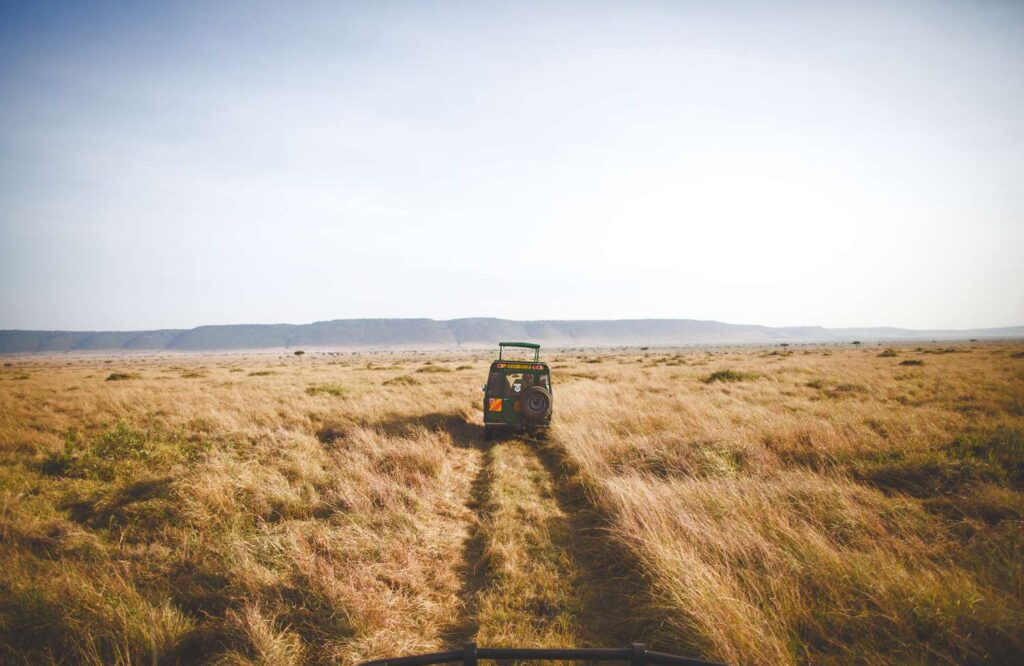 Kenya and Tanzania Are Dream Safari Destinations—Here’s How to Pick the Right One