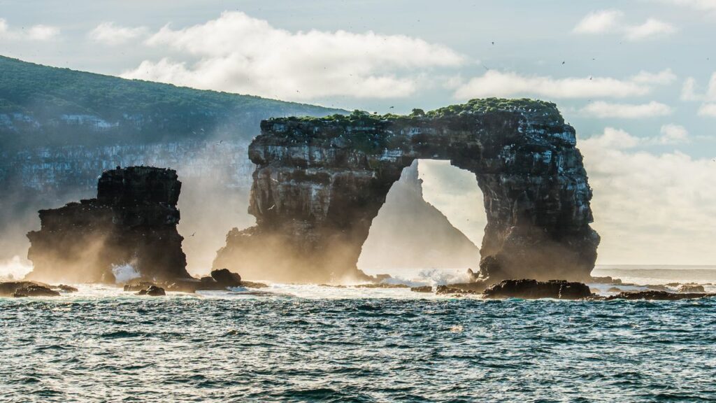 9 Best Galapagos Cruises for Adventure, Wildlife, & Luxury