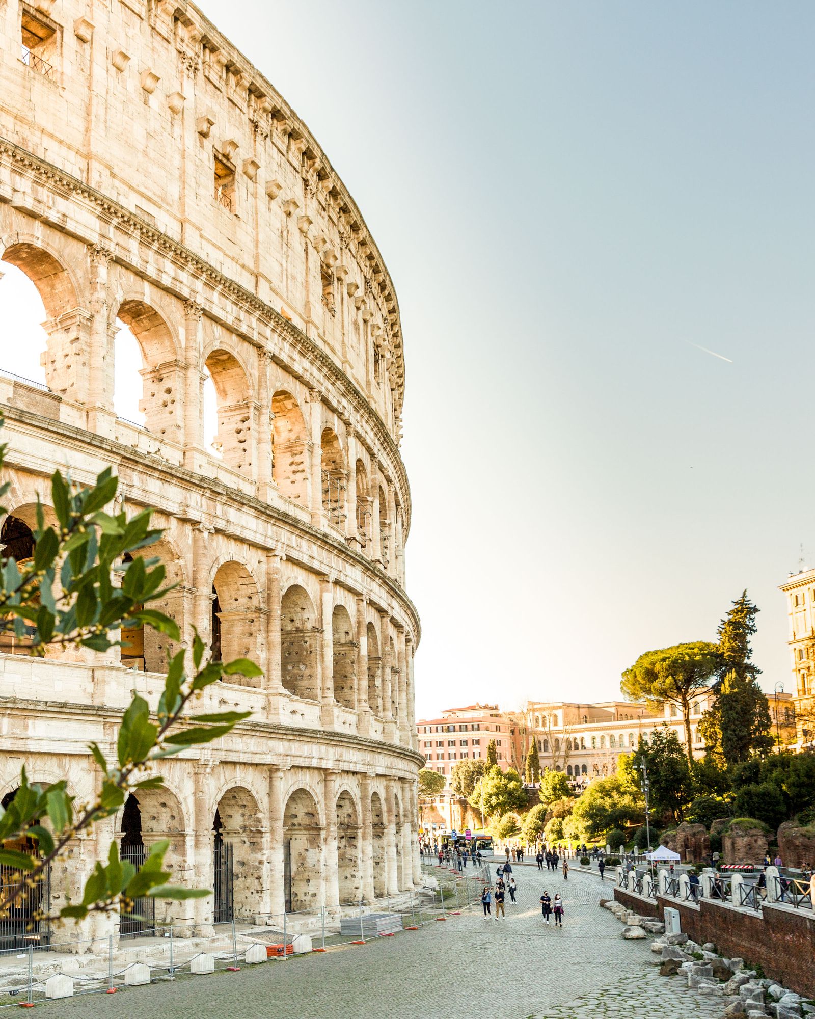 The Colosseum in Rome Italy