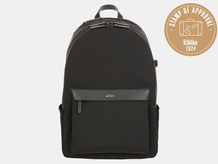 Image may contain: Bag, and Backpack