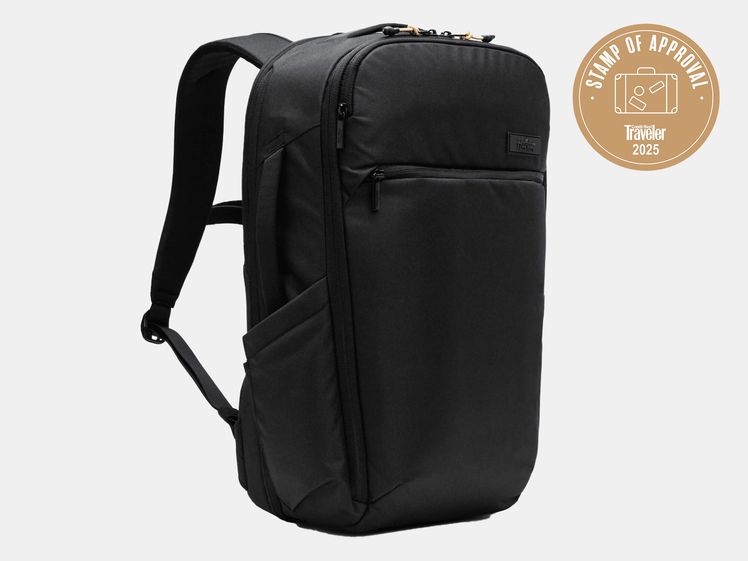 Image may contain: Bag, Backpack, Clothing, and Glove