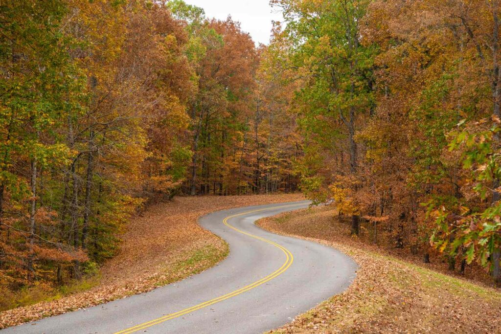 This 444-mile Scenic Parkway Has Some of the South’s Best Fall Foliage—and It Has No Billboards or Stoplights This 444-mile Scenic Parkway Has Some of the South's Best Fall Foliage—and It Has No Billboards or Stoplights