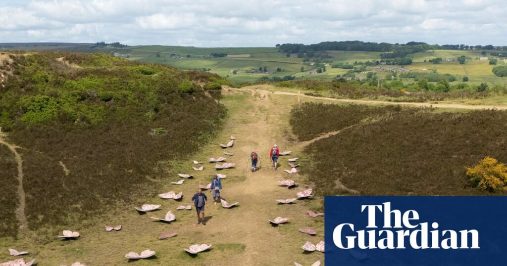 The best outdoor art trails to visit in the UK during autumn| Cultural trips Fresh perspectives: the best outdoor art trails in the UK this autumn | Cultural trips