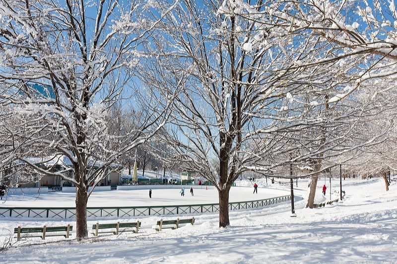 Where else can you go ice skating at a nearly 400yearold park