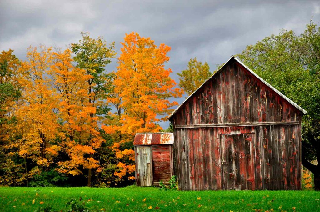 Saratoga Springs: The Essential Guide The Essential Guide to Saratoga Springs, New York