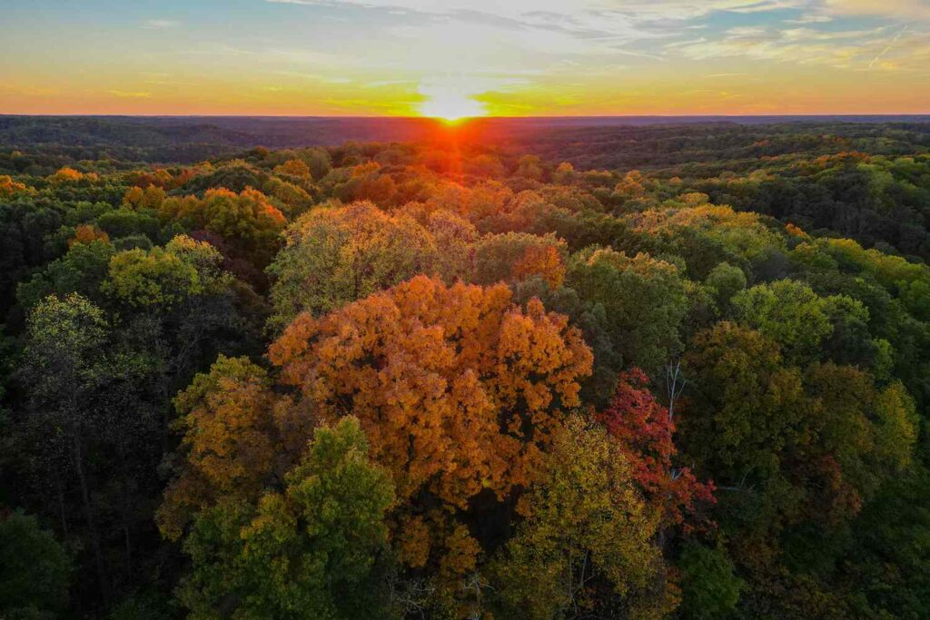 This Gorgeous State Park in the Midwest Is Called the ‘Little Smokies’—How to Visit This Gorgeous State Park in the Midwest Is Called the ‘Little Smokies’—How to Visit