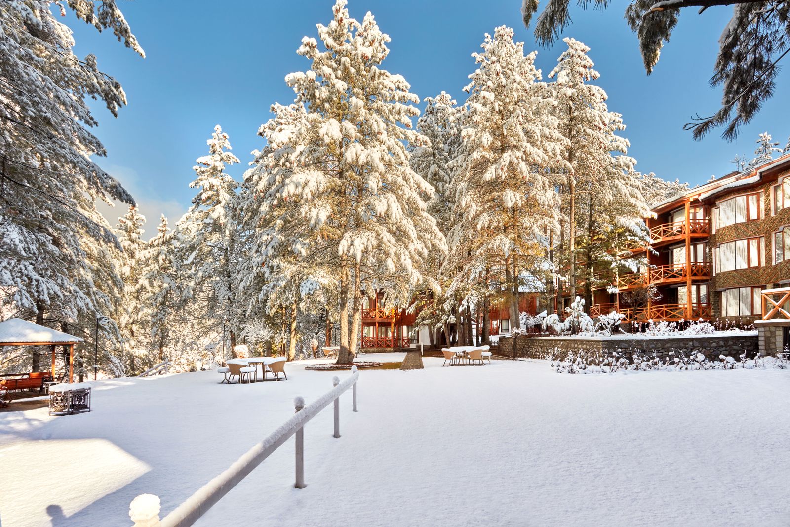 Image may contain Fir Plant Tree Nature Outdoors Scenery Architecture Building and Housing