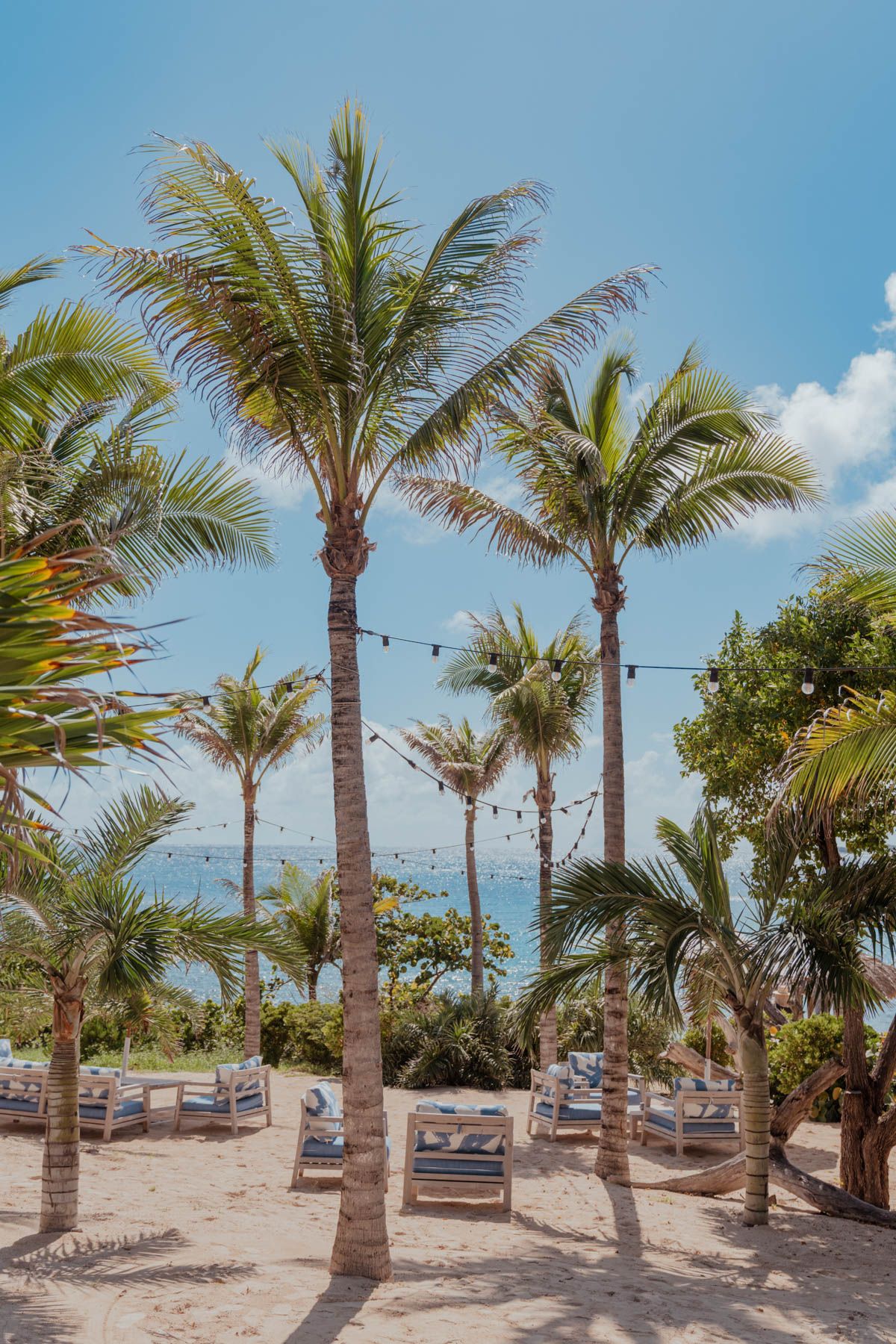 Image may contain Summer Palm Tree Plant Tree Nature Outdoors Sky Chair Furniture Horizon Scenery and Vegetation