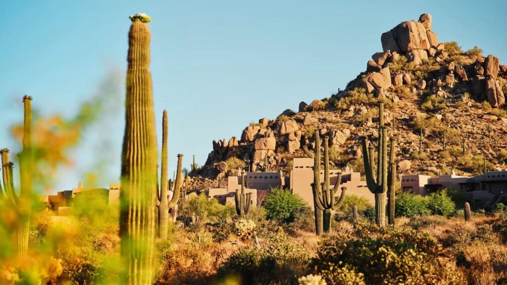 14 Best Arizona Resorts for Wellness, Wilderness, and Everything in Between