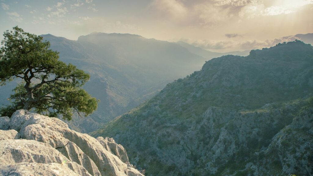 8 Best Hikes in Mallorca to Explore the Balearic Isle