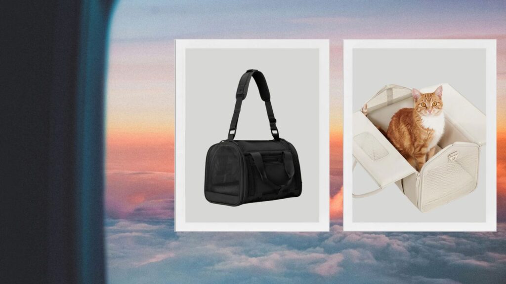 7 Best Pet Carriers to Keep Dogs and Cats Comfortable and Safe in Transit