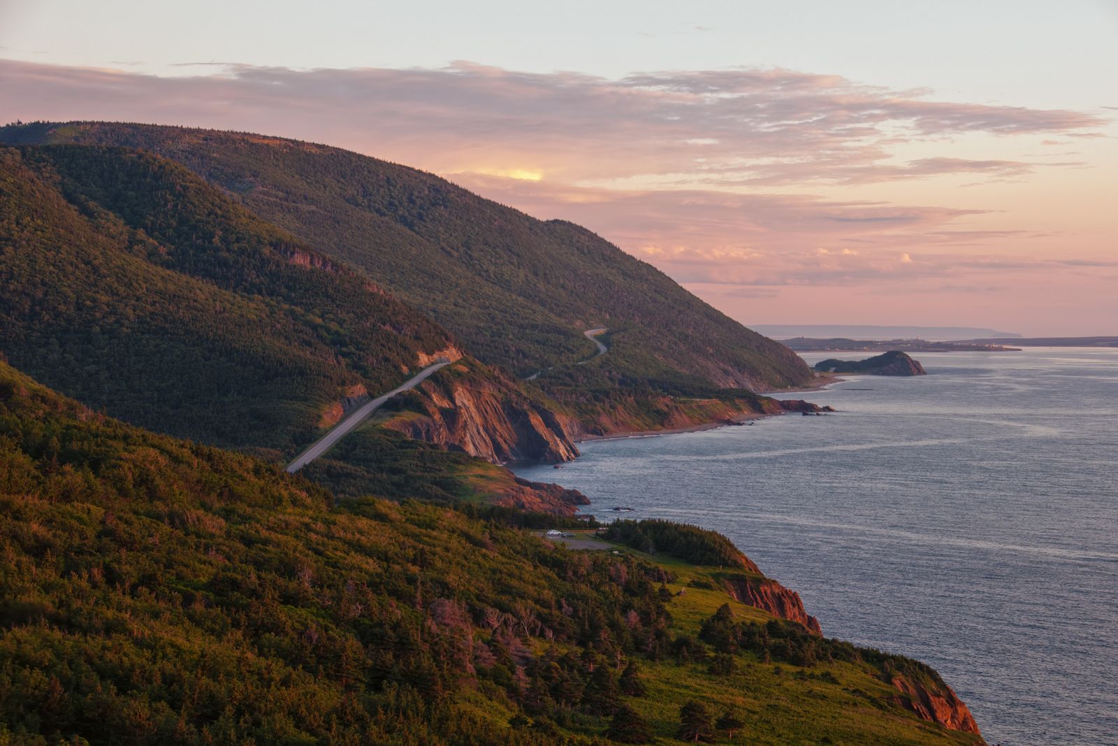 Image may contain Nature Outdoors Promontory Water Sea Animal Canine Dog Mammal Newfoundland Pet and Land